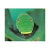 Caterpillar | Auto-jobs.ca
